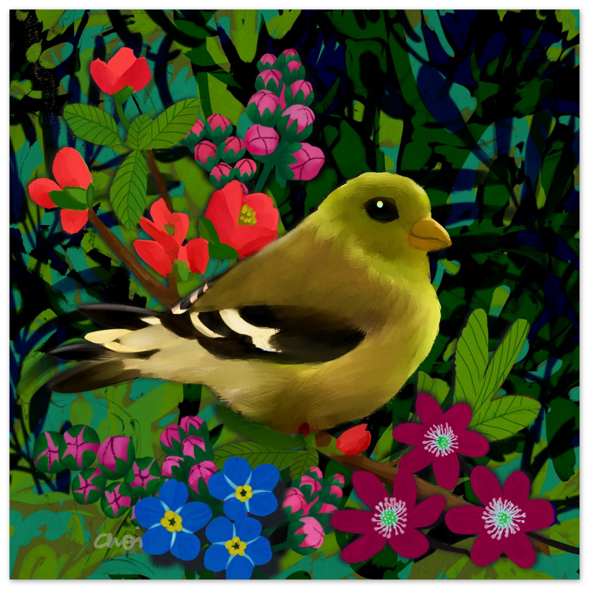 Green finch 2023 Fine art giclée print - Unframed - Choi Cheung