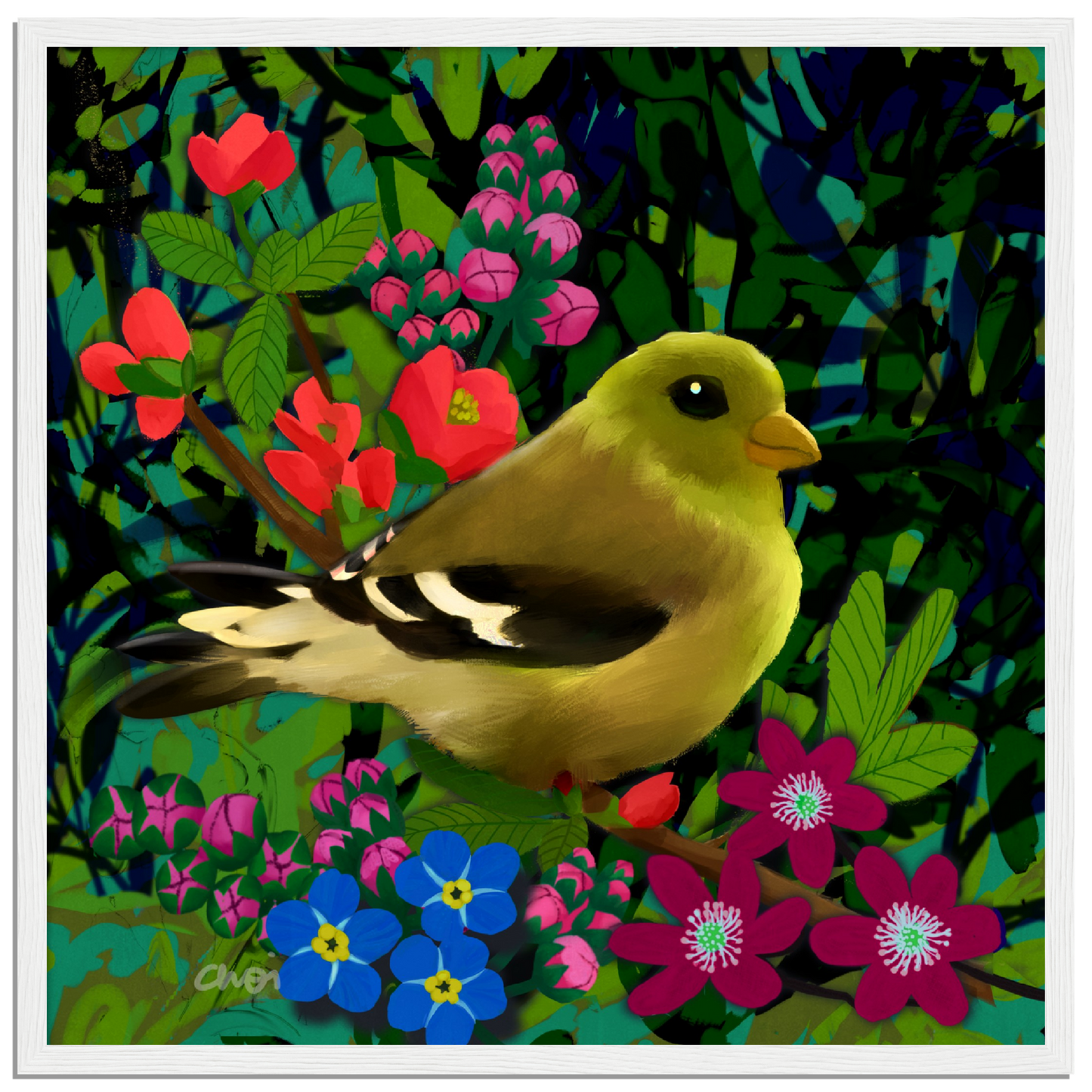 Green finch 2023 Giclée print - Framed - Choi Cheung