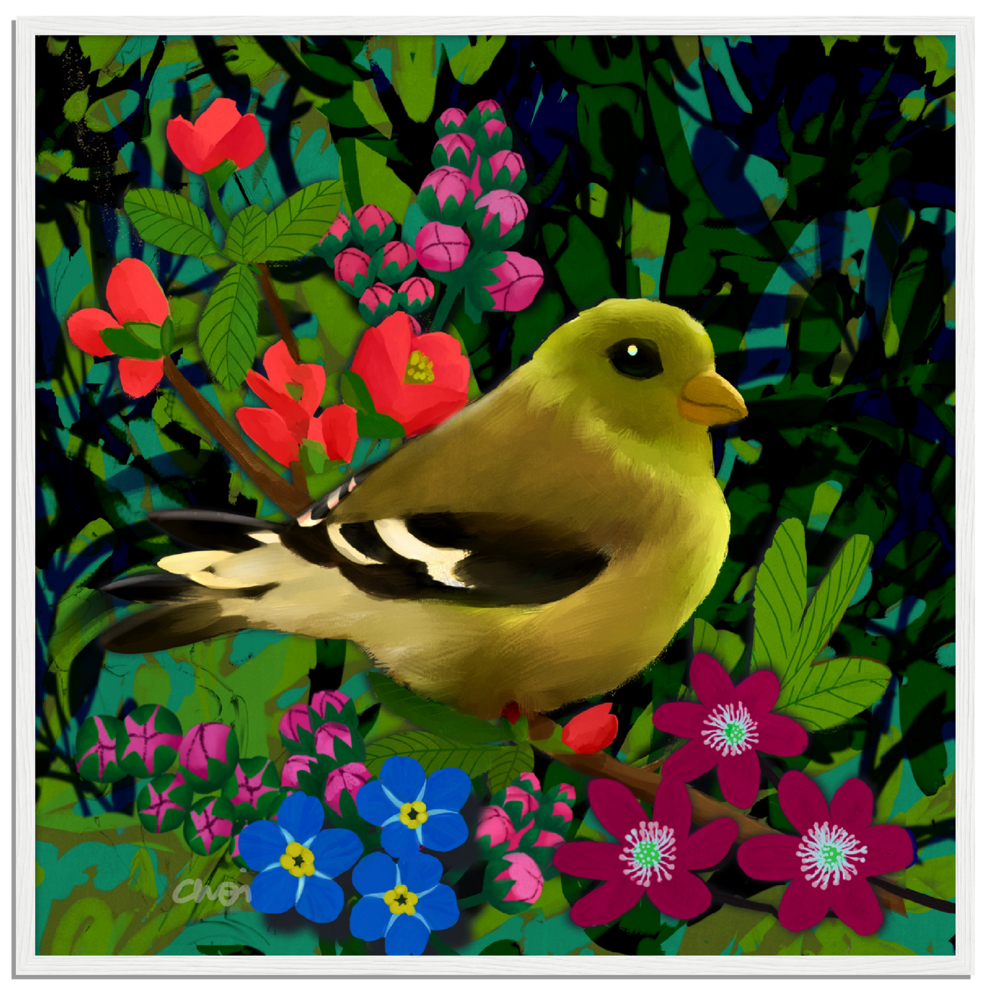 Green finch 2023 Giclée print - Framed - Choi Cheung