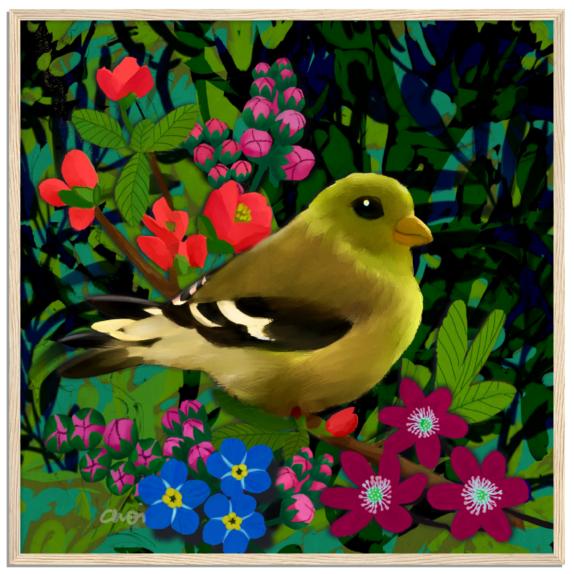 Green finch 2023 Giclée print - Framed - Choi Cheung